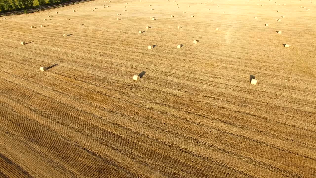 해가 지는 동안 밀 의 롤 발과 함께 황금 에 대한 공중 풍경