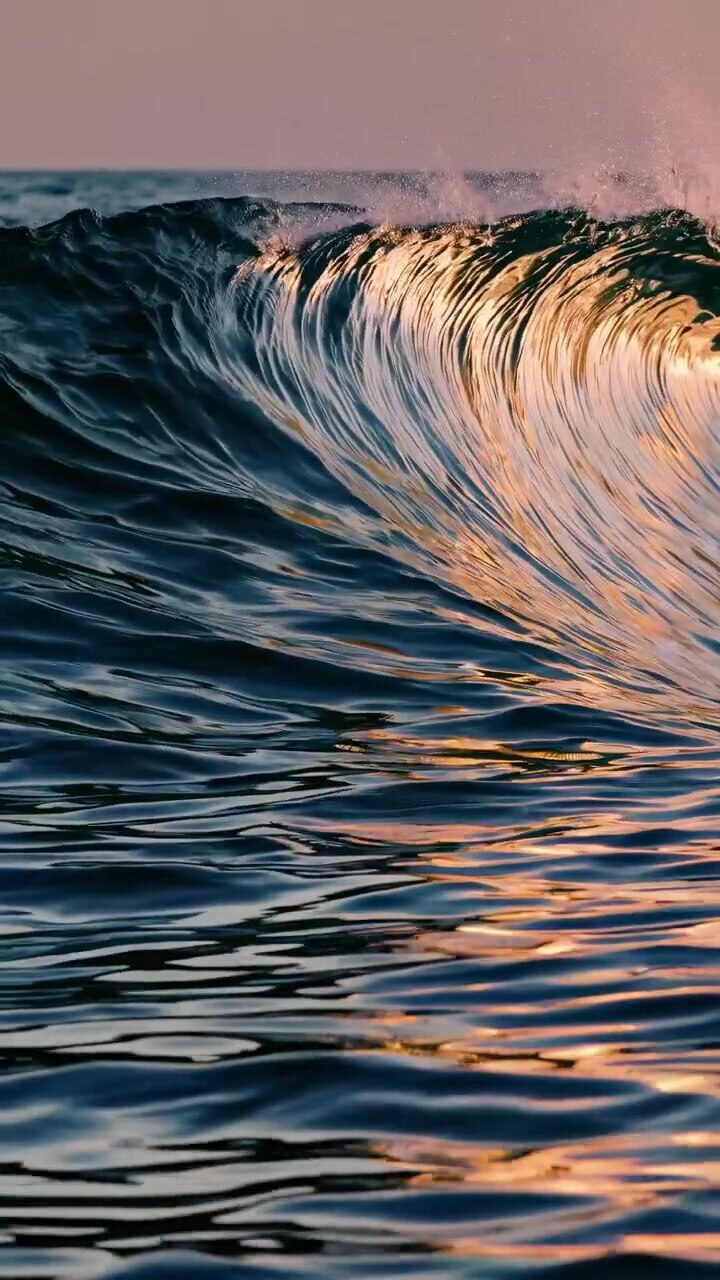 Golden Sunset Light Reflecting on a Crashing Ocean Wave