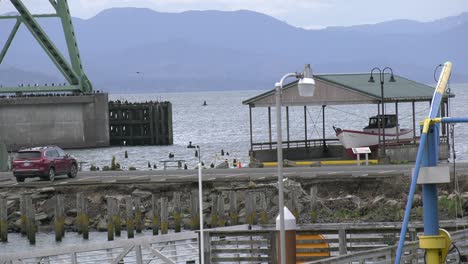 dock and large bridge span