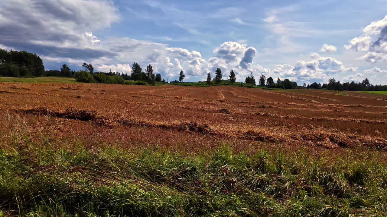 Beautiful and green natural scenery in Dobele, Latvia