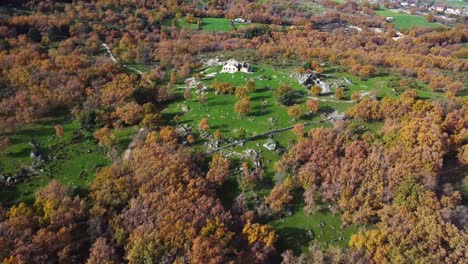 ruins and autumn trees on hills