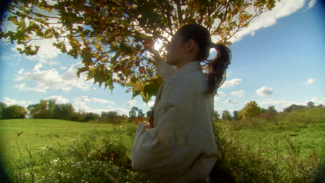 woman reaching up to tree in autumn park