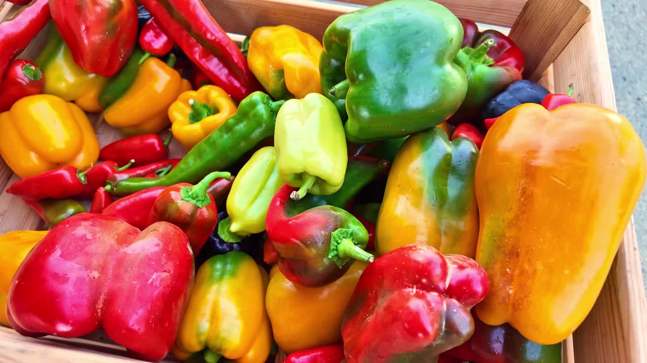 Pull-back shot of a wooden crate filled with red, green, and orange bell peppers. The vibrant colors and natural light emphasize the freshness of the vegetables