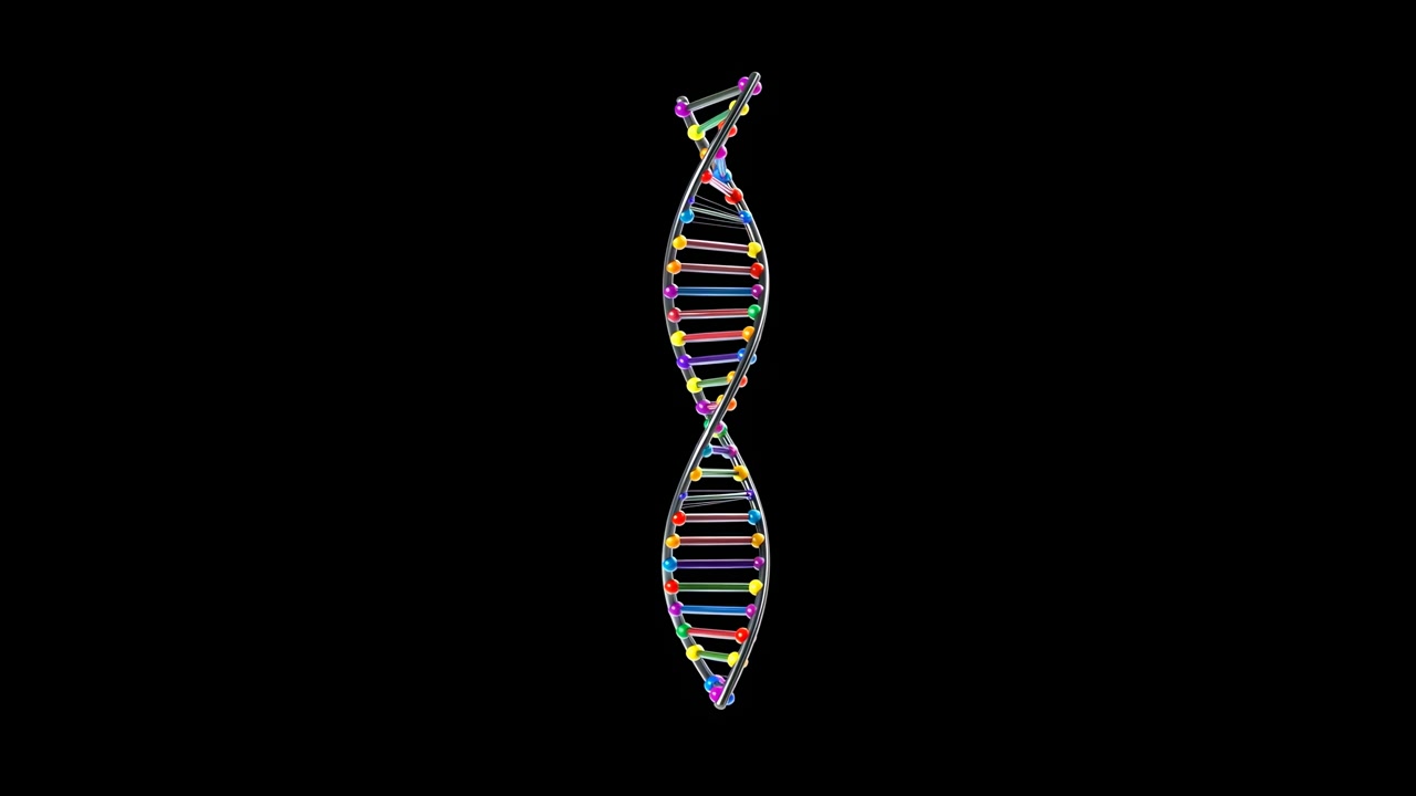 Elica di DNA colorata ruota su sfondo nero, modello dimensionale vibrante che si attorciglia lentamente con colori multipli
