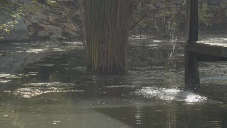 Ein-Ruhiger-Und-Beruhigender-Ort-Zum-Entspannen-Und-Meditieren,-Während-Wasser-Durch-Die-Rotunde-Und-In-Den-Teich-Fließt