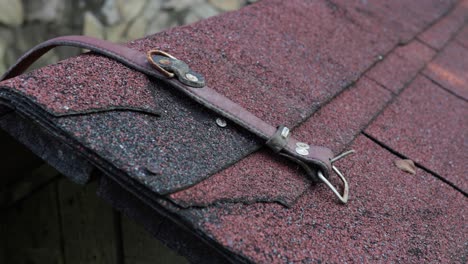 dog leash of red shingle roof of dog house