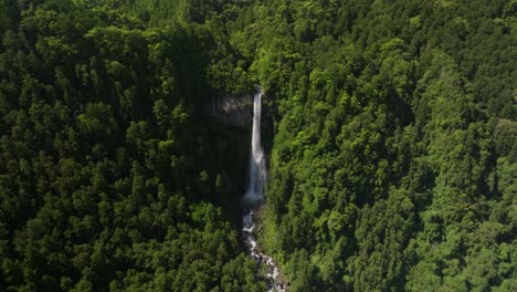 Imagen-De-Inclinación-Lenta-Que-Revela-La-Cascada-Nachi,-La-Más-Grande-De-Japón.