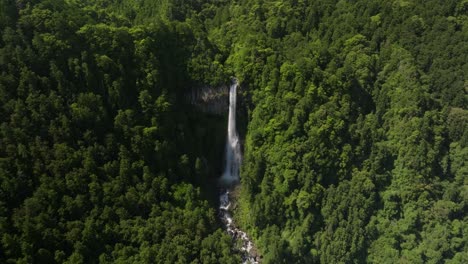 slow tilt reveal shot of nachi waterfall, the biggest in japan