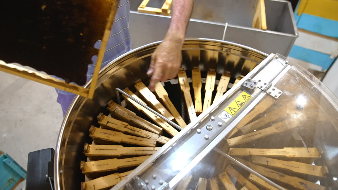 Male hands download honey frames into apparatus for extracting honey. Harvesting honey at bee farm. Close up.
