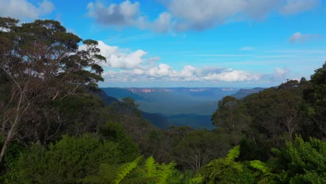 blue mountains gum tree eucalyptus forest aerial drone katoomba sydney nsw australia sunny bluesky three sisters echo point lookout cliff walk world heritage national park afternoon upward slowly