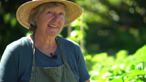 a passionate gardener sharing wisdom amidst lush greenery: insights into sustainable practices and gardening techniques for enthusiasts and beginners alike
