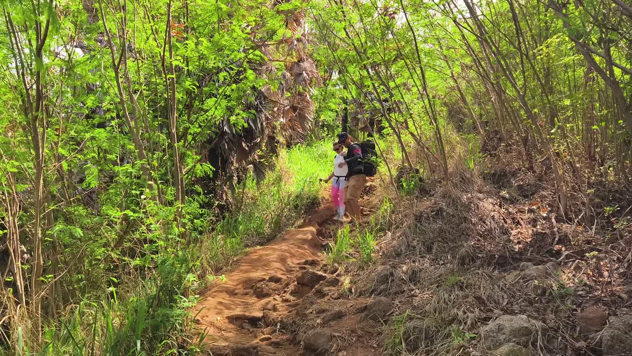 Couple Hiking Through a Lush Forest Trail
