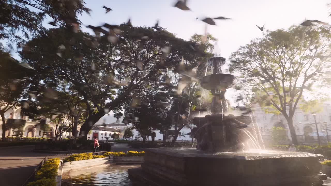 bandada de pájaros vuela junto a la fuente de la sirena en el parque central de antigua guatemala al atardecer, oscureciendo la llamarada a través de las ramas de los árboles