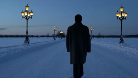 a person walks down a snow-covered path lined with illuminated streetlights at dusk