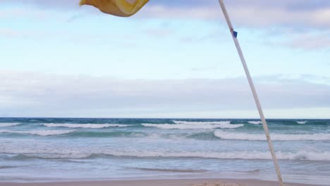 flag waving at beach