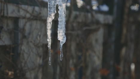 Detail-Eines-Tropfenden-Eiszapfens-Im-Bokeh-Hintergrund