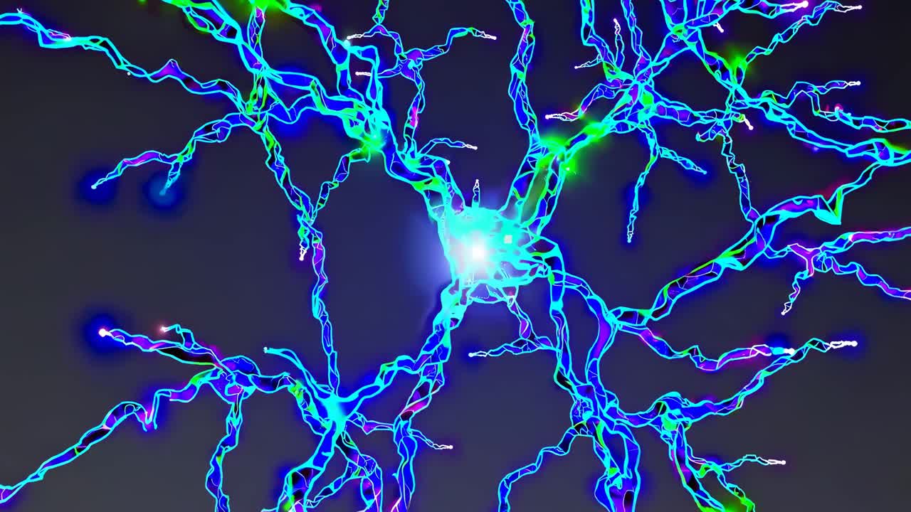 Neuron Network Visualization