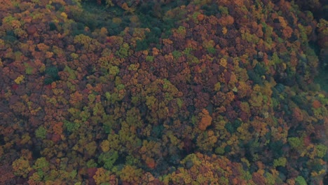 Top-View-Of-Scenic-Mountain-Full-Of-Colorful-Autumnal-Trees-In-Zao-Onsen,-Yamagata,-Japan---aerial