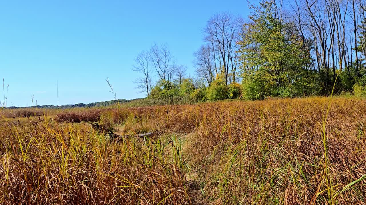 Falmouth, Maine Audubon nature preserve trail looking at more Autumn colors