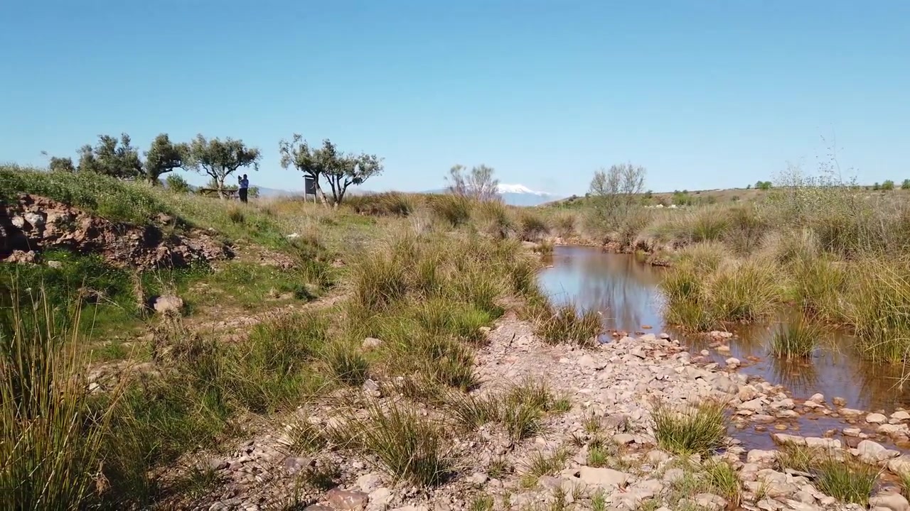 Giornata limpida vicino al geyser a Pozuelo de Aragón con un cielo azzurro brillante.