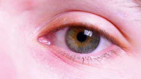 4k cinematic slow motion macro shot of a green left eye, with blue and brown flecks, opening and looking into the camera