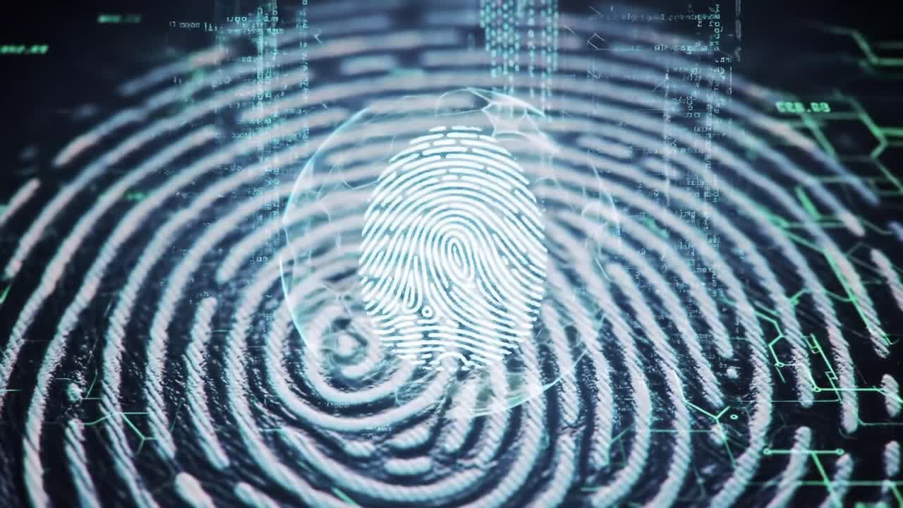Exploring the Digital Realm of Identification: A Visual Journey Through Unique Fingerprint Patterns and Data Visualization Techniques