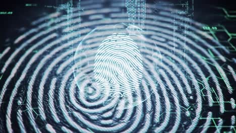 exploring the digital realm of identification: a visual journey through unique fingerprint patterns and data visualization techniques