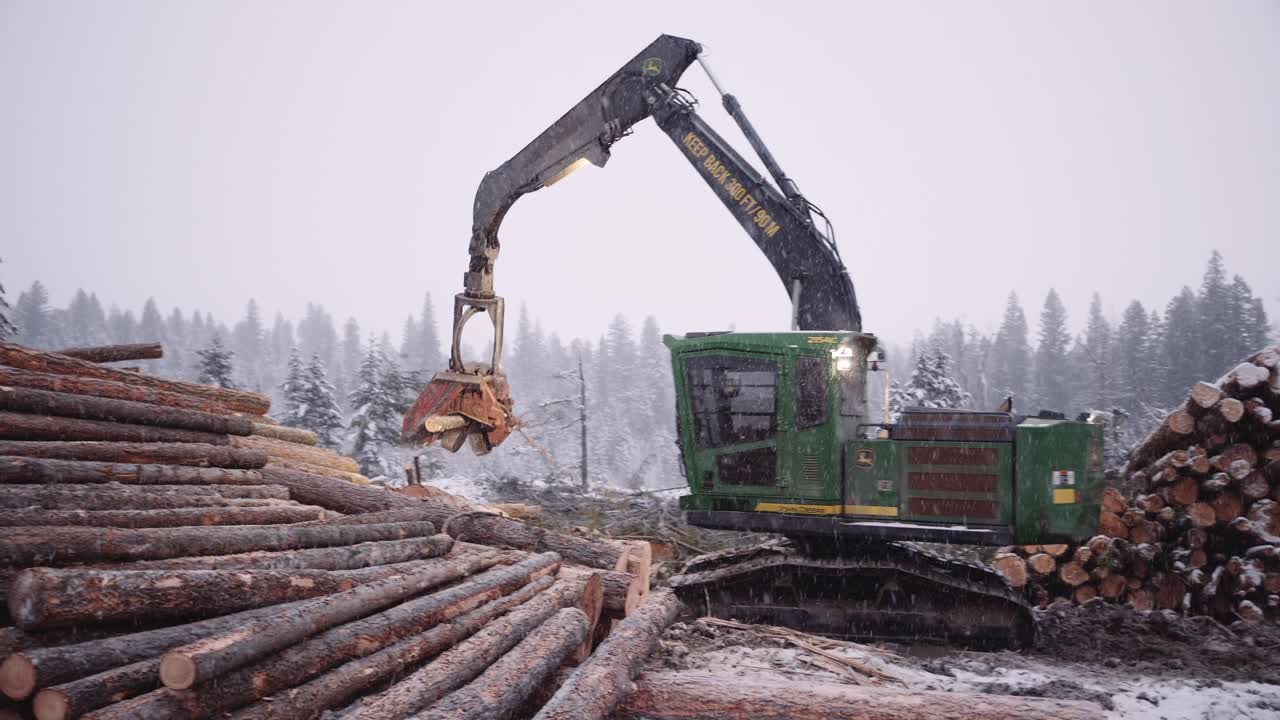 manipulador de madera industrial máquina maderera clasificando montones de madera en tormenta de nieve