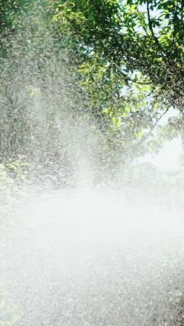 sprinkler system sprays water on the grass in the garden. slow motion. vertical video