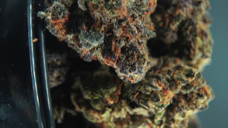 una toma cinemática macro vertical detallada de una planta de cannabis, variedades híbridas, indica y sativa, flor de marihuana púrpura, en un soporte giratorio, grito brillante negro, cámara lenta, video 4k, iluminación de estudio