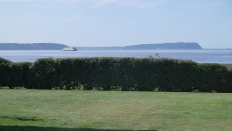 shrubs in front of the puget sound with a ferry commuting in the distance