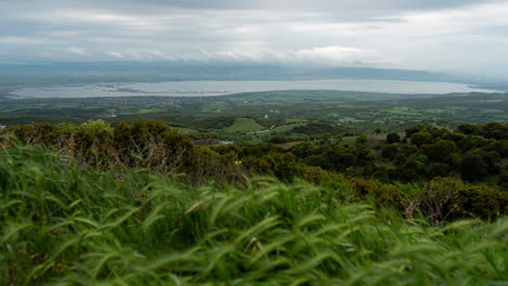 Landschaft-Im-Zeitraffer.-Wolken-Ziehen-über-Seevegetation,-Vordergrund,-Frühling,-Bewölkt