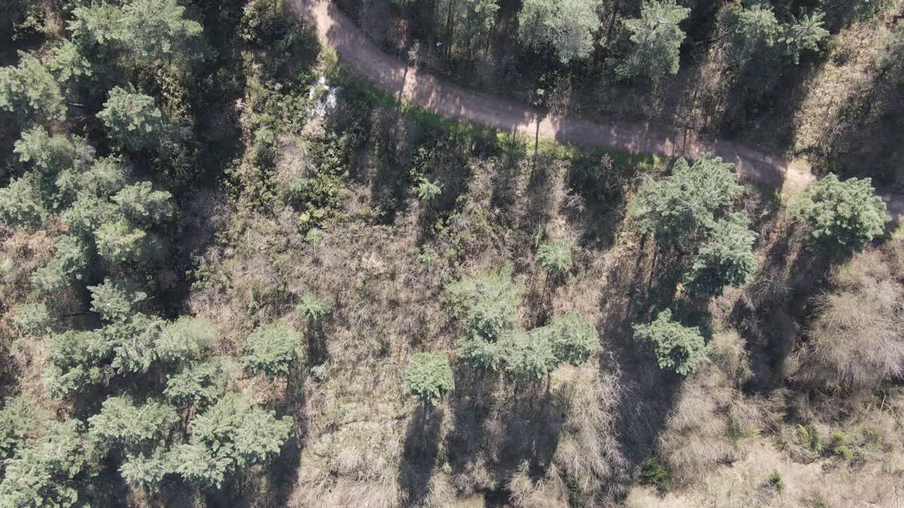 공중 환경 자연