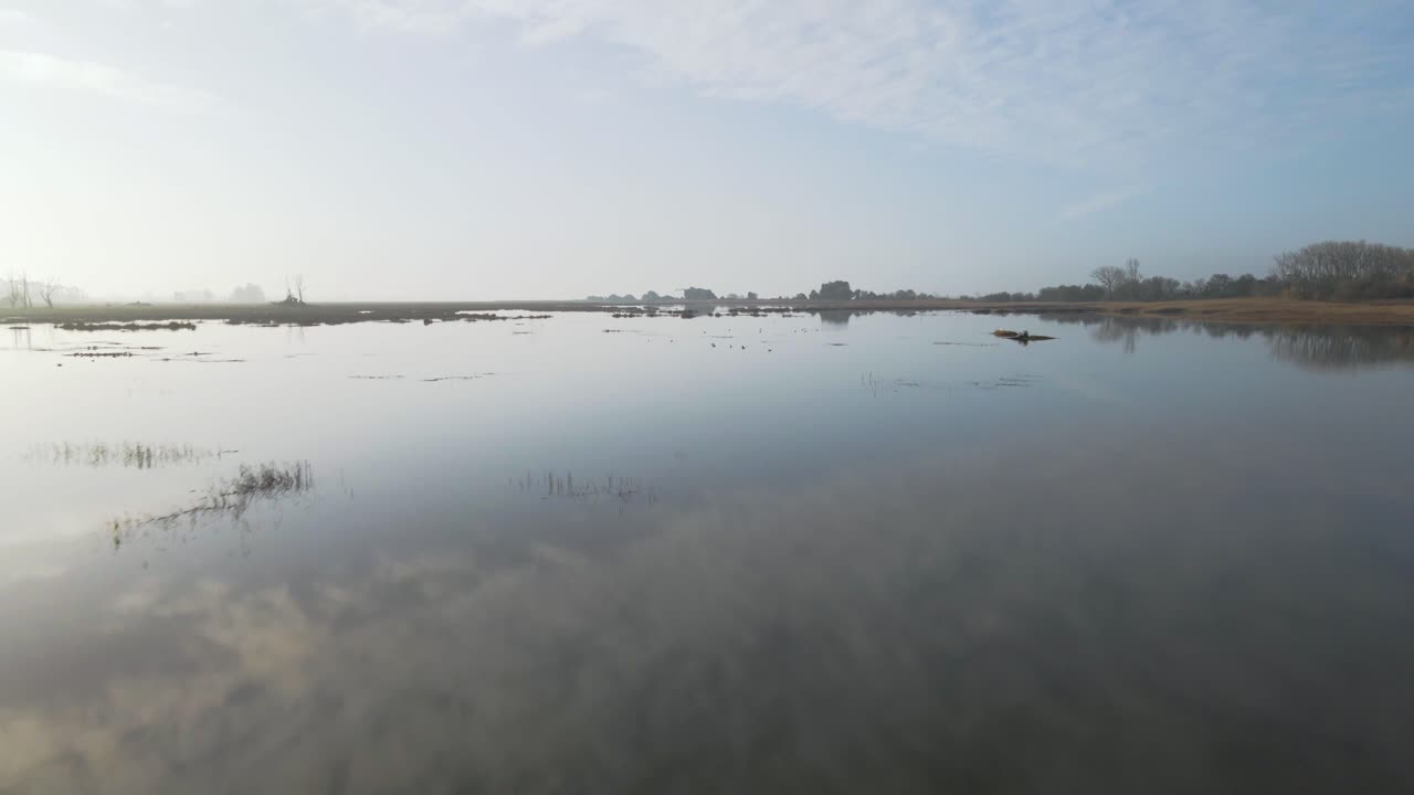 punto de vista de un dron de un lago espejo con un par de gaviotas volando