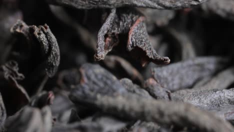 té de hojas grandes negro súper macro de cerca.