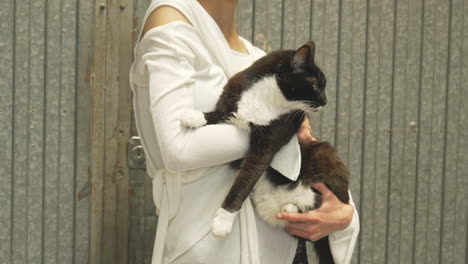 cat pet black and white held by woman wearing white jumper, animal closeup