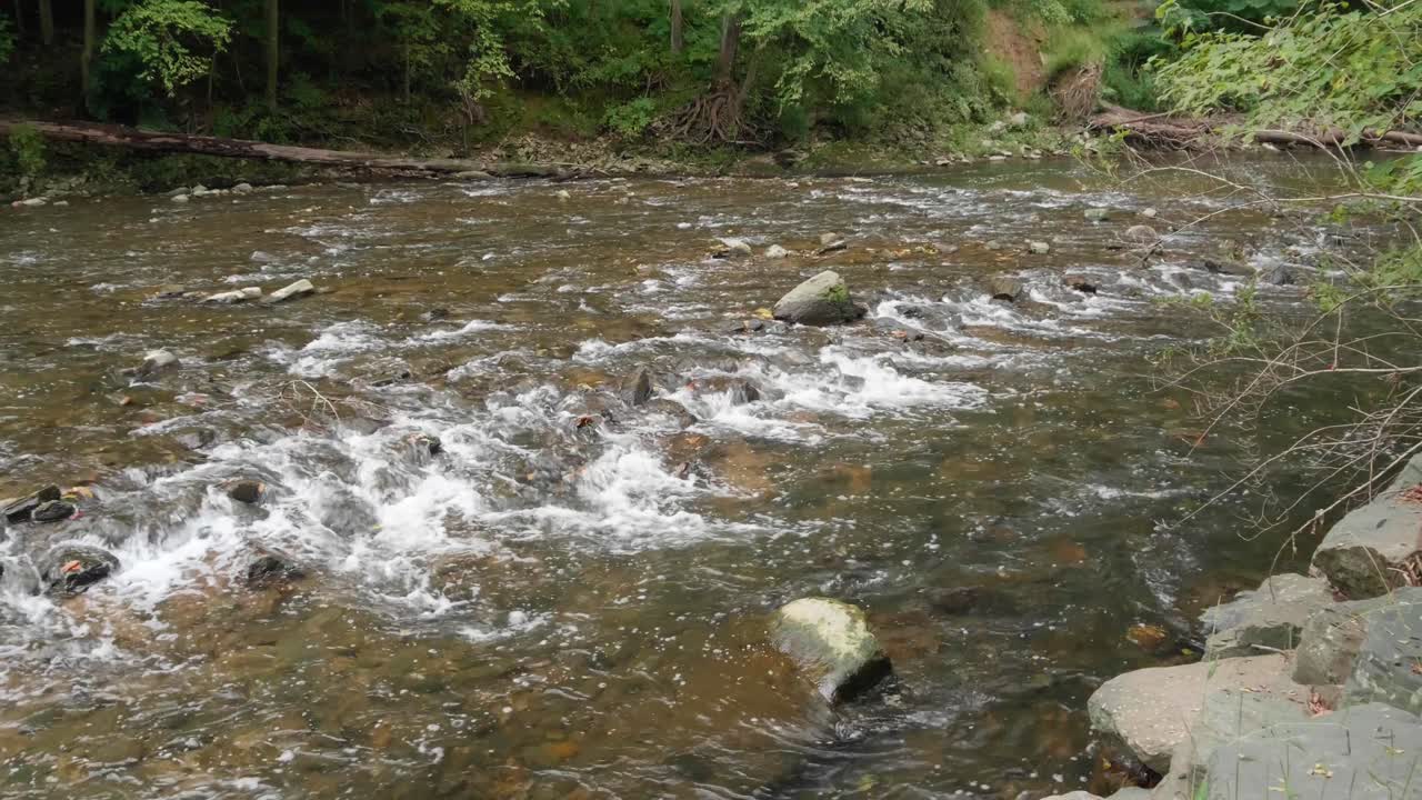El arroyo Wissahickon fluye sobre rocas, piedras
