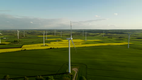 Aerial-view-of-wind-turbine-generators-in-green-and-yellow-fields,-Puck-Poland