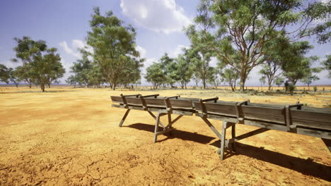 paisaje seco con cunas de madera y árboles escasos en australia