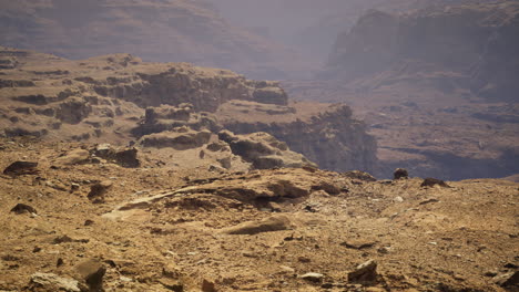majestic desert landscape under a hazy sunlit sky at midday