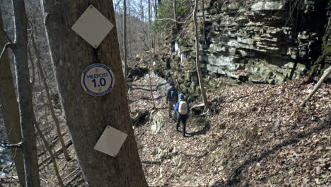 Hikers-walk-past-tree-with-mile-marker-sign-by-trail-in-forest,-4K