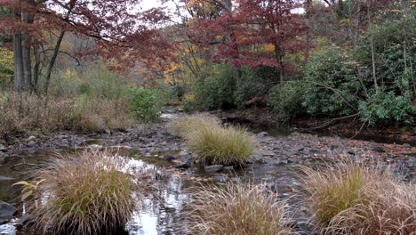 Ein-Kleiner-Bach,-Der-An-Einem-Kühlen-Herbsttag-In-Den-Bergen-Durch-Den-Wald-Fließt