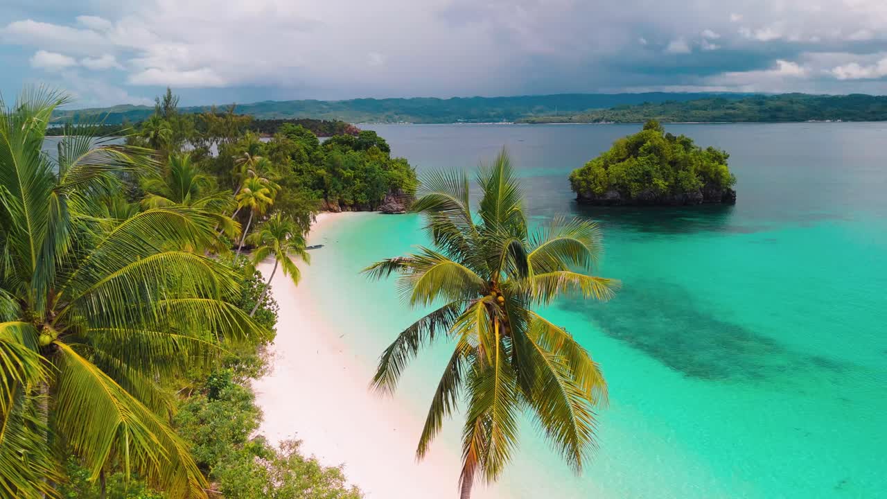 palme su una spiaggia di sabbia bianca nelle isole Banggai, Sulawesi