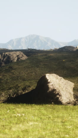 paisaje de montaña con prado exuberante