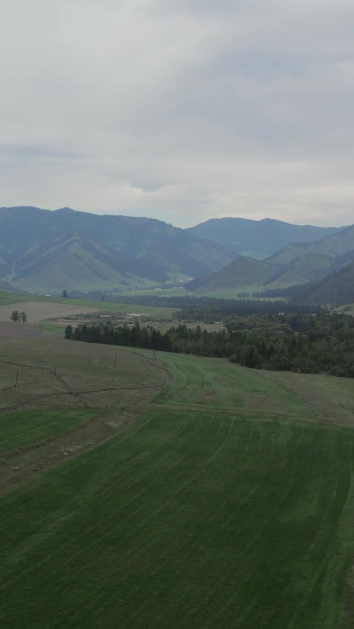 Luftoptagelser af en bred Altai-bjergdal med grønne enge, landbrugsjord og skovbælter, bølgende bakker og fjerne bjergkamme under en overskyet himmel, Rusland