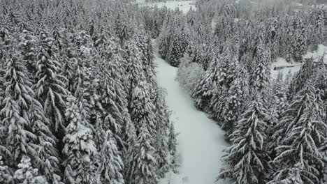 Vista-Aérea-De-Un-Bosque-Cubierto-De-Nieve-En-Idaho,-Estados-Unidos