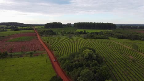 Una-Vista-Aérea-De-Un-Camino-Rural-Con-Campos-Y-Bosques-En-La-Distancia,-Salto-Chavez-Obera,-Misiones,-Argentina