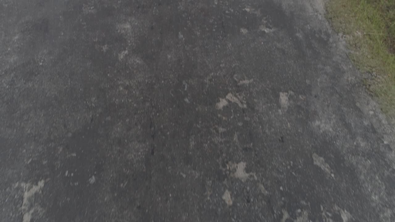 toma cinematográfica de un dron de bajo perfil: toma reveladora de una carretera en la jungla.