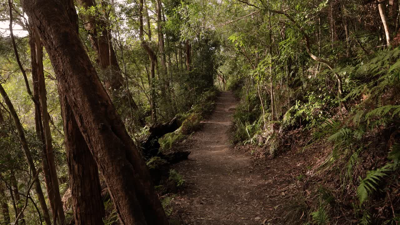 퍼링브룩 폭포 산책, 스프링브룩 국립 공원, 골드 코스트 내륙,  ⁇ 즈랜드, 오스트레일리아