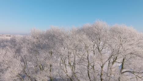 aerial establishing view of a rural landscape in winter, snow covered countryside fields and trees, cold freezing weather, sunny winter day with blue sky, wide ascending drone shot moving forward